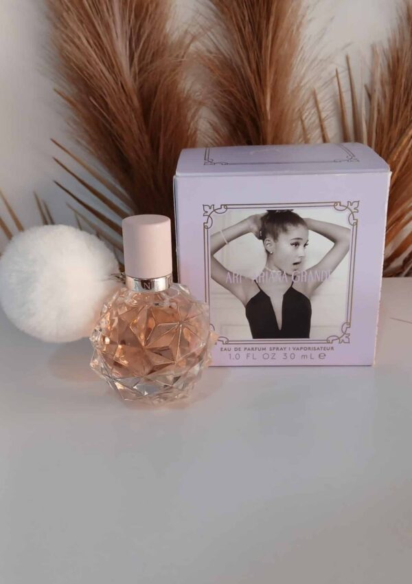 Ari - Imagen 2