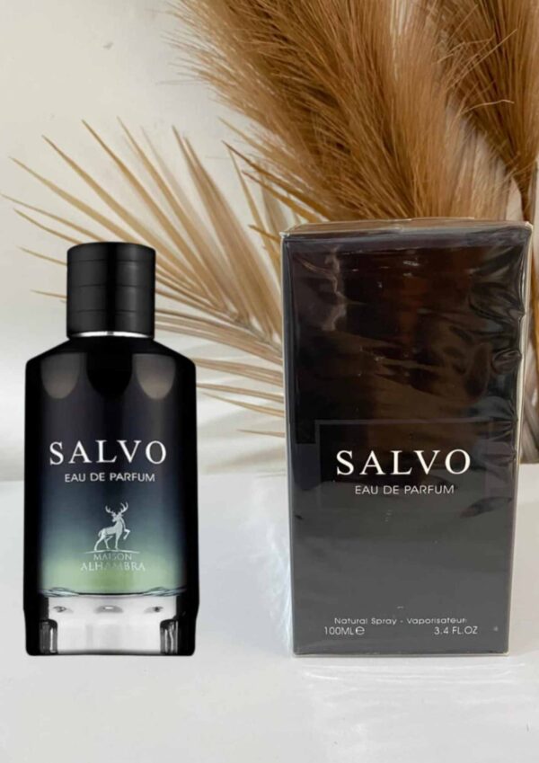 Salvo - Imagen 2