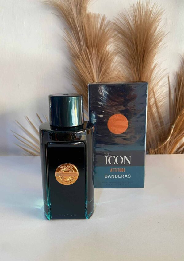 The Icon (DAY) - Imagen 2