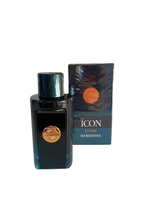 The Icon (DAY)
