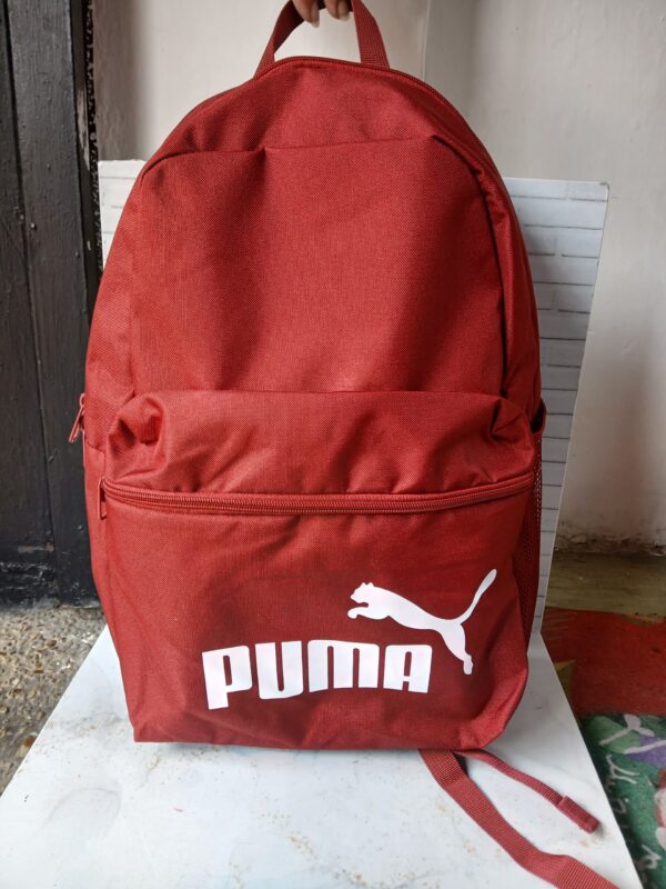 bolso puma